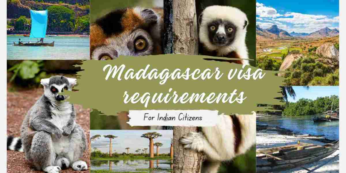 madagascar visa requirements for indian citizens