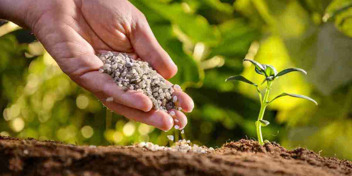 Agricultural Micronutrients Market Detailed Strategies, Competitive Landscaping and Developments for next 5 years
