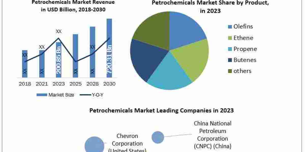 Petrochemicals Market Size, Share, Growth Drivers and Challenges 2024-2030
