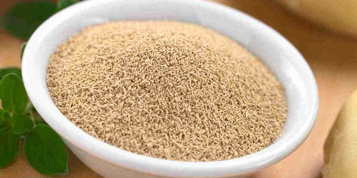 Hopped Malt Extract Market Analysis, Industry Size, Trends, Demand, and Research Report 2024-2032