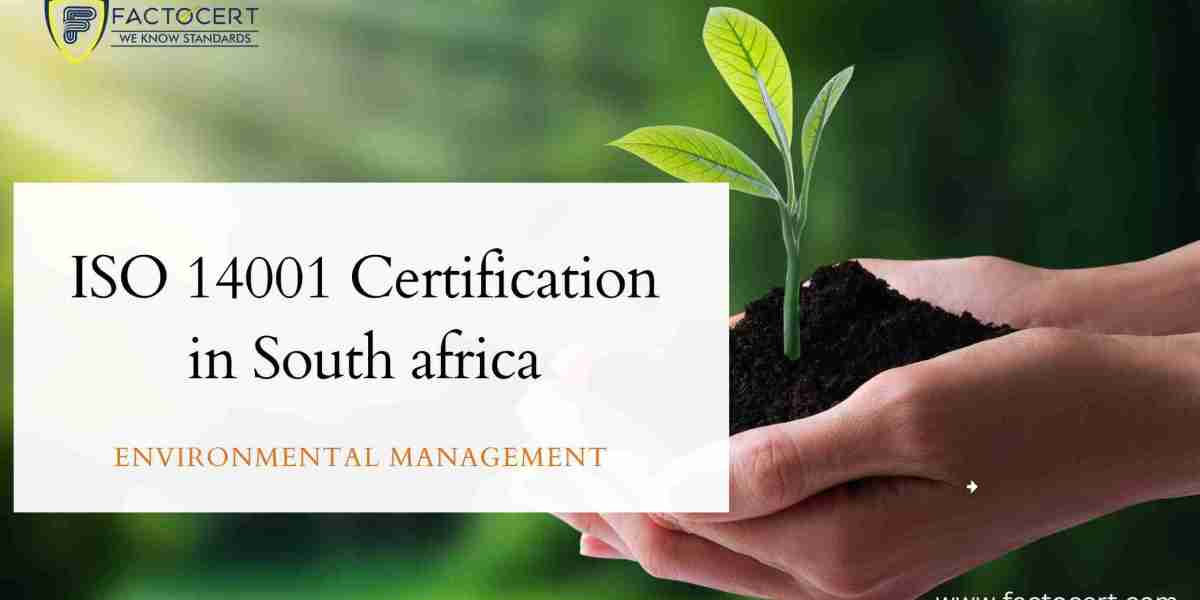 What is the role of Auditors in ISO 14001 Certification in South Africa