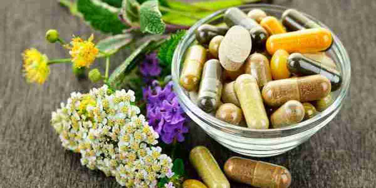 Nutraceutical Excipients Market Share, Global Industry Analysis Report 2023-2032