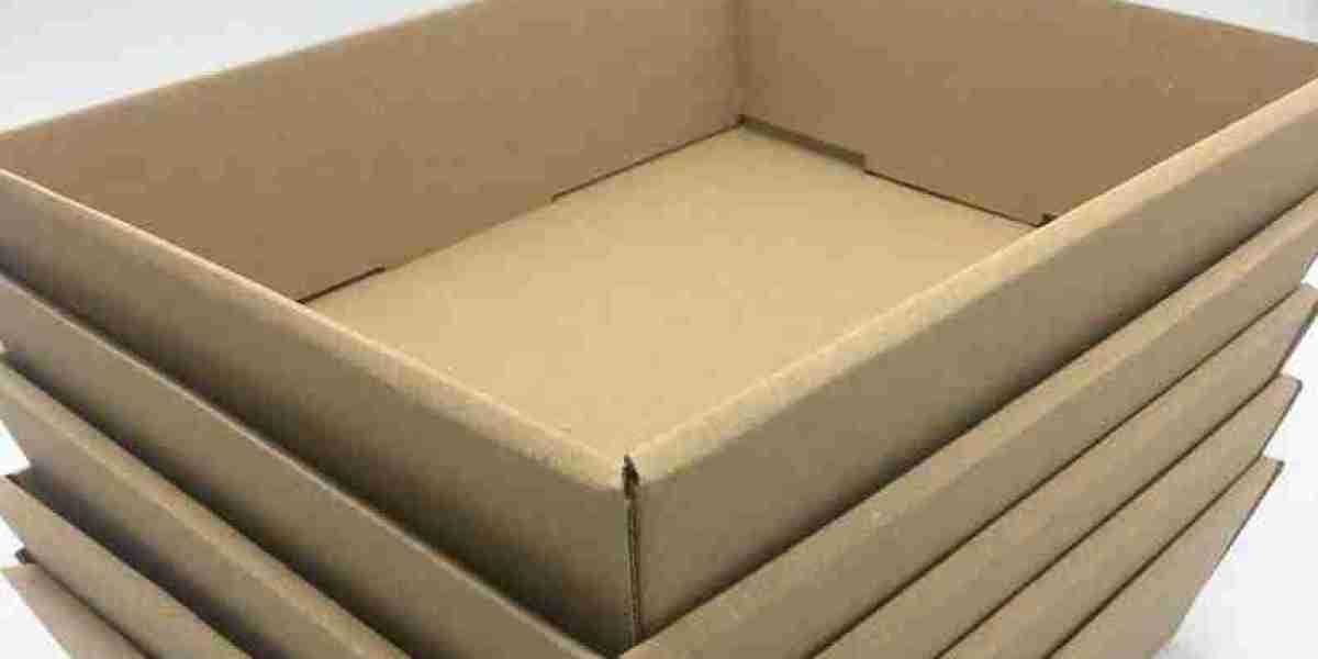 Assembly Trays Market Size, Industry Research Report 2023-2032