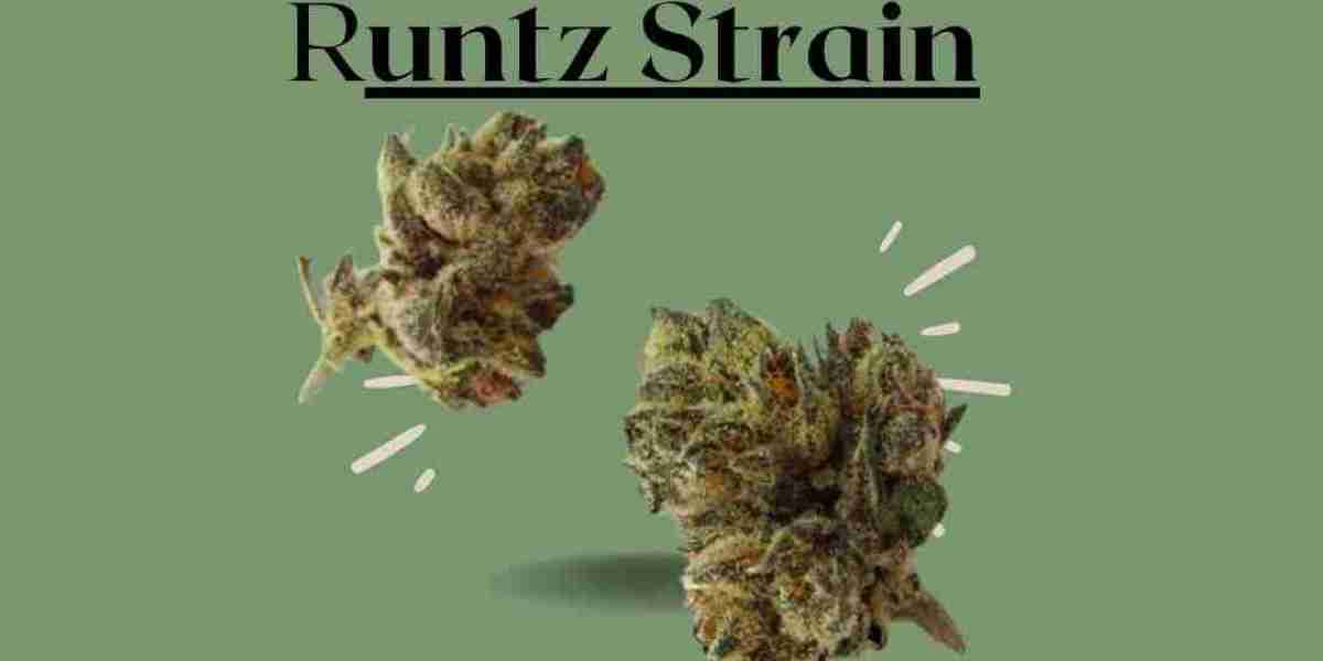 Runtz Strain: A Beginner's Guide to Growing