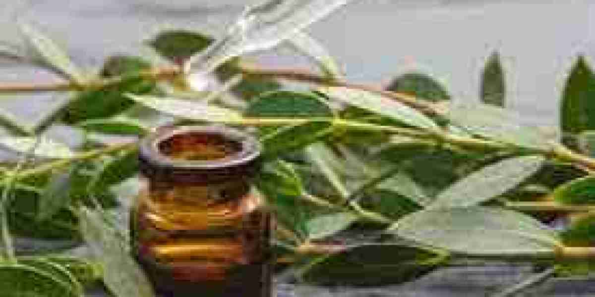 Eucalyptus Oil Market to see Booming Business Sentiments