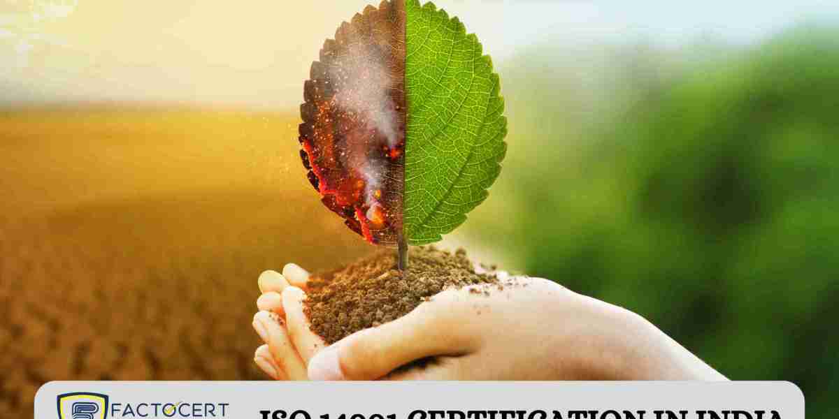 What are the current trends and future outlook for ISO 14001 certification adoption in India?