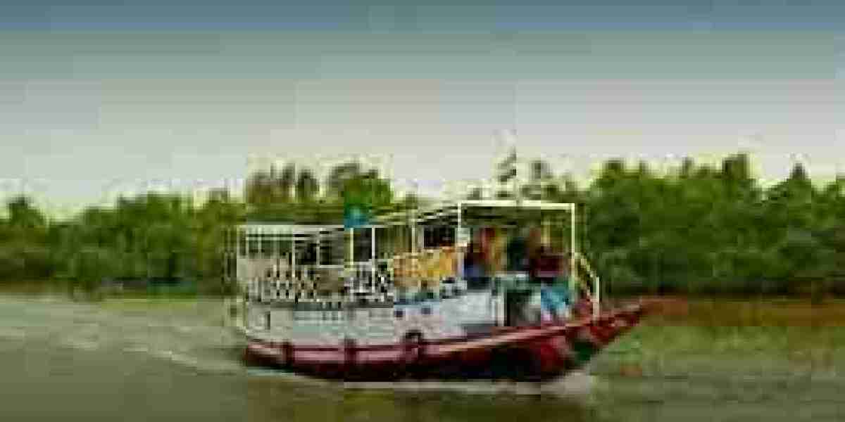 Exploring the Untamed Beauty of Sundarban Travels
