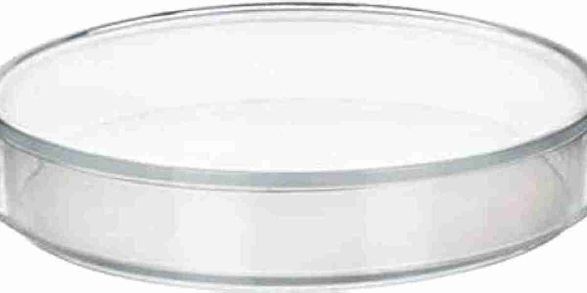 Petri Dishes Market Unidentified Segments – The Biggest Opportunity Of 2024