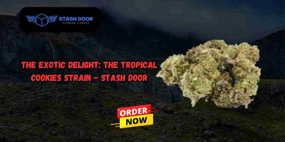 The Exotic Delight: The Tropical Cookies Strain - Stash Door