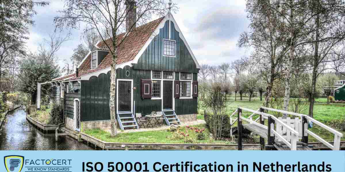 How often must a company renew its ISO 50001 Certification in the Netherlands?