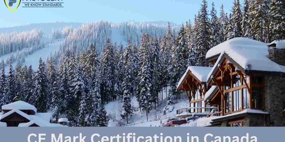 How does CE mark certification benefit international students in Canada?