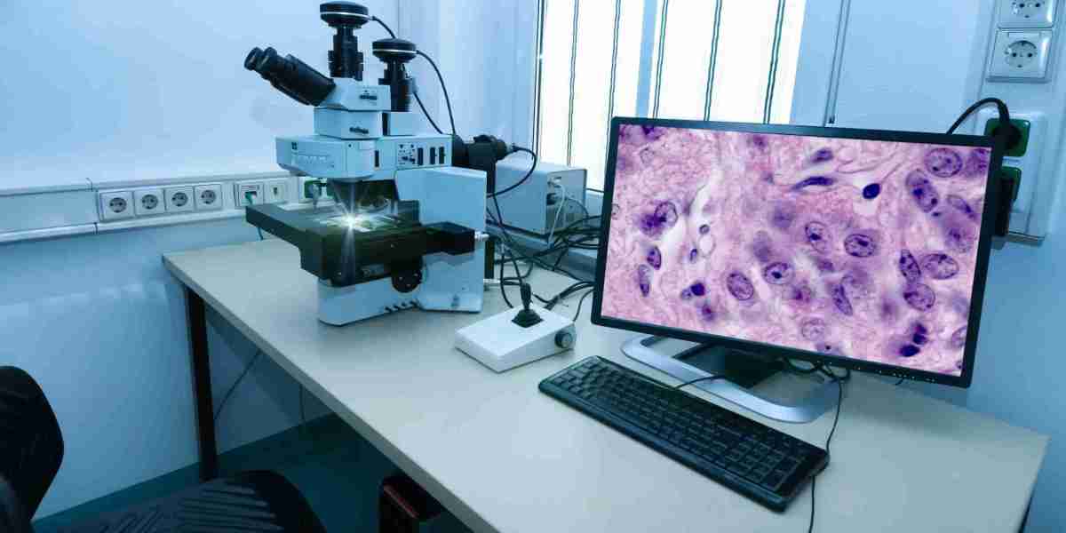 Digital Pathology Market to See Major Growth by 2032