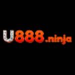 U888 Ninja