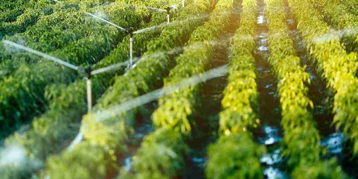 Crop Protection Chemicals Market To See Worldwide Massive Growth, Analysis, Industry Trends, Forecast 2024-2032