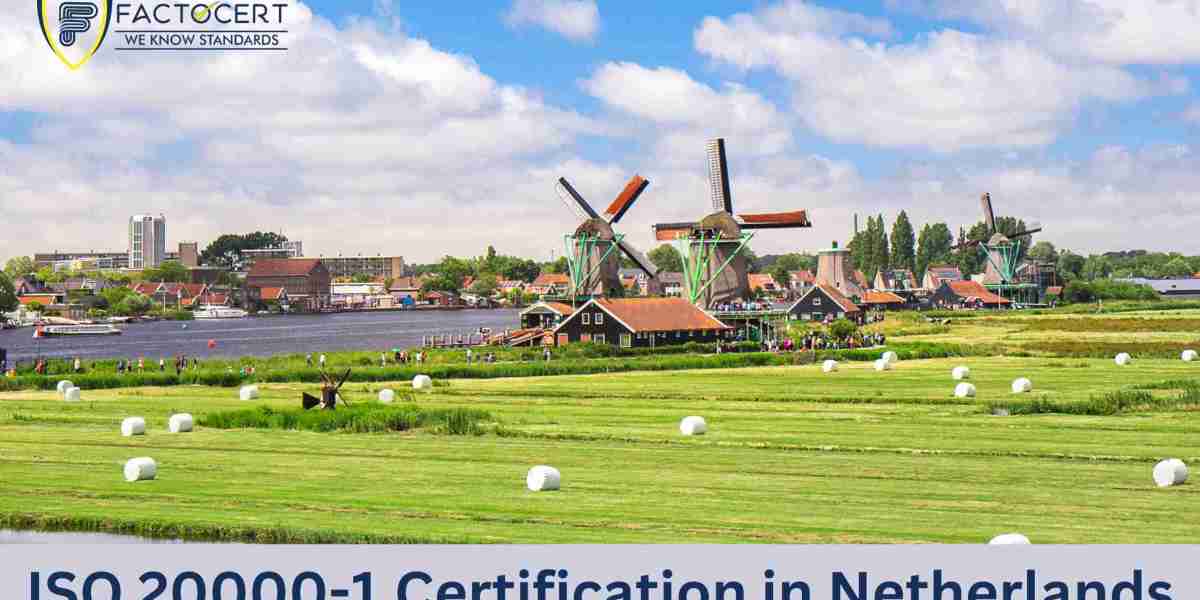 How does ISO 20000-1 certification contribute to the Dutch IT service landscape?