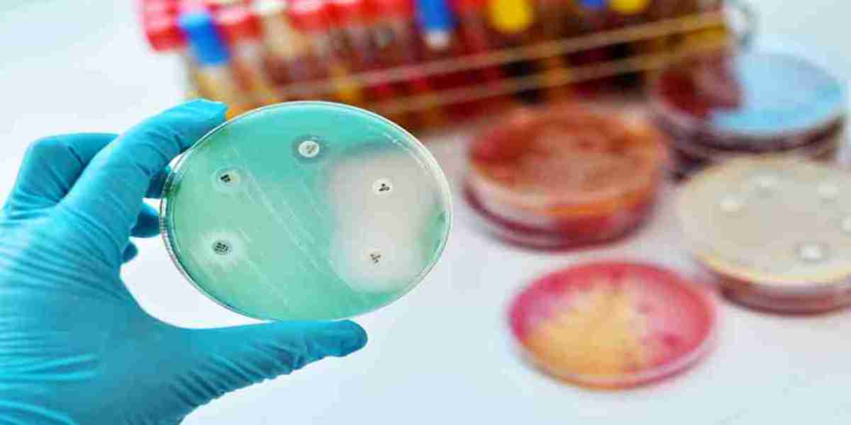 Antimicrobial Ingredients Market Size, Key Players Analysis And Forecast To 2032 | Value Market Research