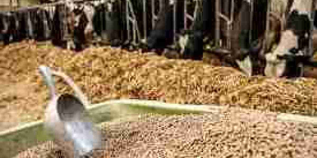 Germany Cattle Feed Market Boosting the Growth, Dynamics Trends, Efficiencies Forecast to 2030