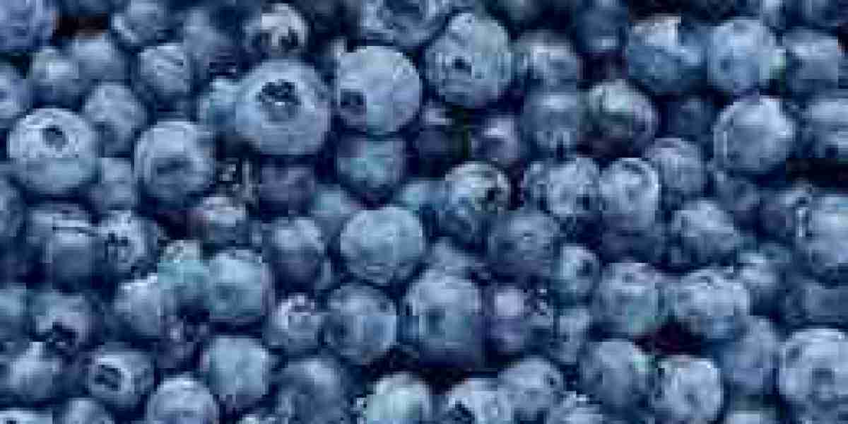 Fresh Blueberries Market: Ready To Fly on high Growth Trends