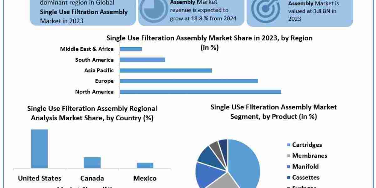 Single-use Filtration Assemblies Market Growth Drivers and Challenges 2024-2030