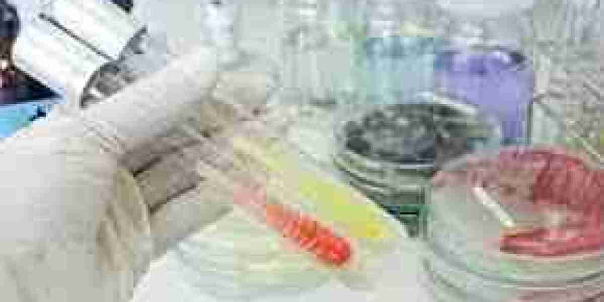 Pharmaceutical Rapid Microbiology Testing Market Top Manufacturers, Competitive Analysis And Development Forecast to 202