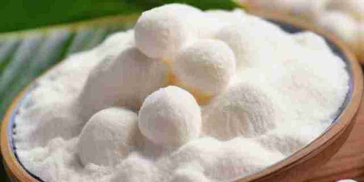 Tapioca Starch Manufacturing Project Cost 2024: Plant Setup and Industry Trends