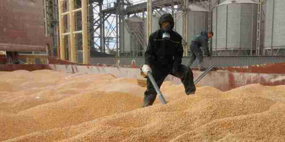 Grain Fumigation Market To Witness Huge Growth By 2032