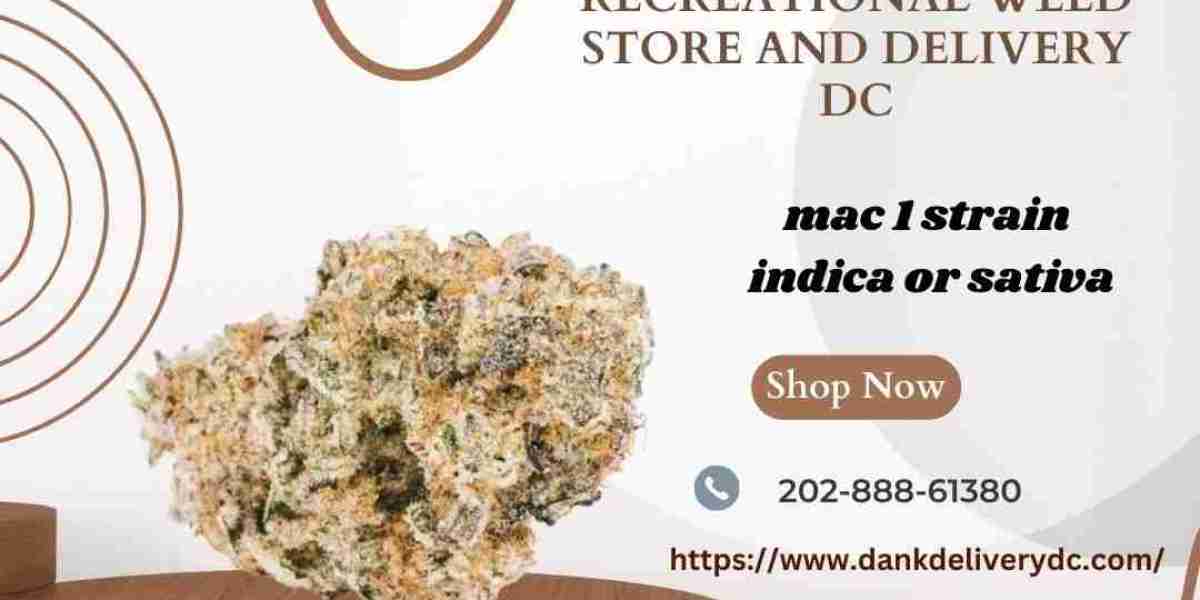 Step-by-Step: Growing Mac 1 Strain - Indica or Sativa?