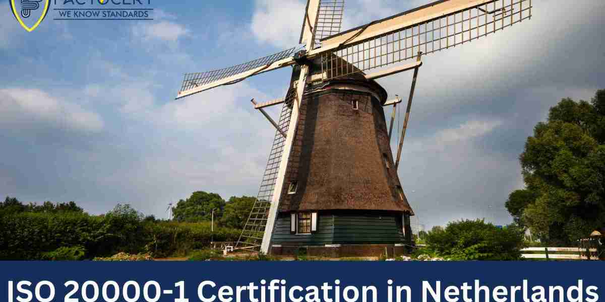 How long does it typically take for a company to achieve ISO 20000-1 certification in the Netherlands?