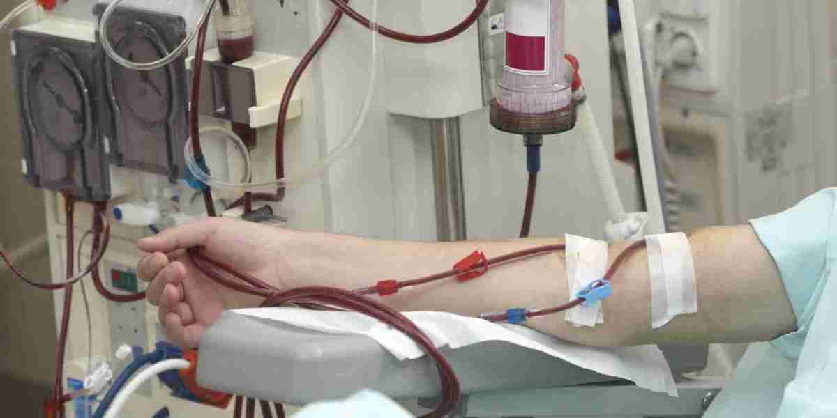 United States Dialysis Market Share, Industry Trends, Forecast 2024-32