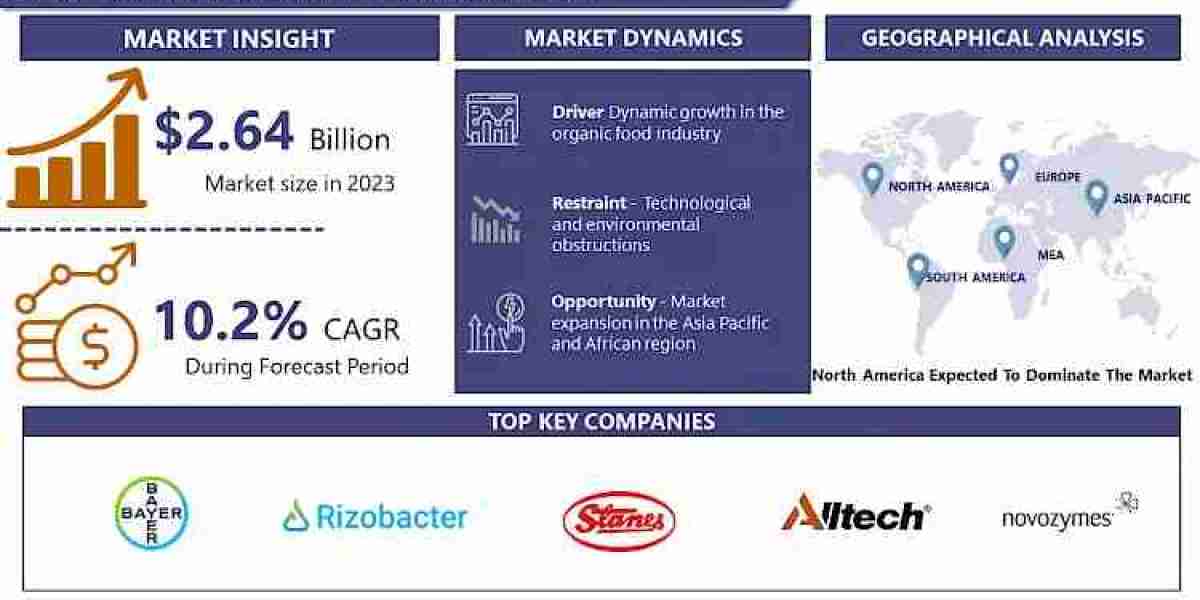Biofertilizers Market Is Booming Worldwide Demand, Research Scope, Growth Analysis and Business Guidelines by 2032 | IMR