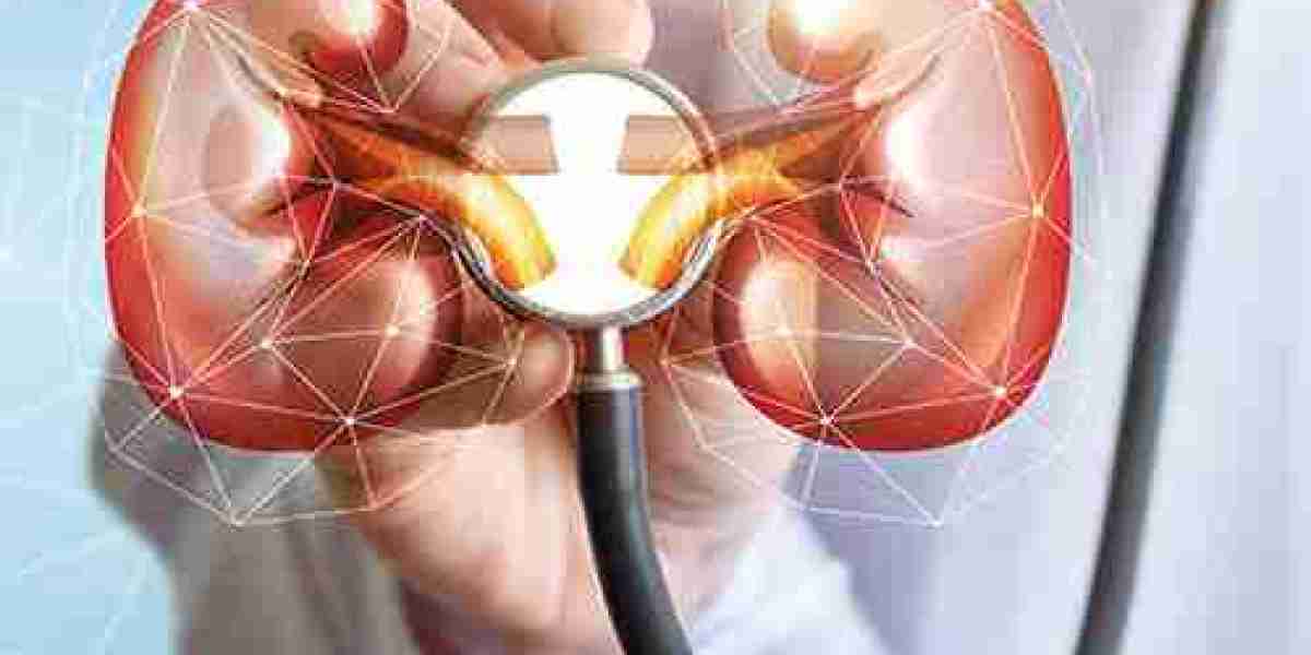 Nephrologist in Nelamangala Bangalore: Comprehensive Guide to Kidney Care