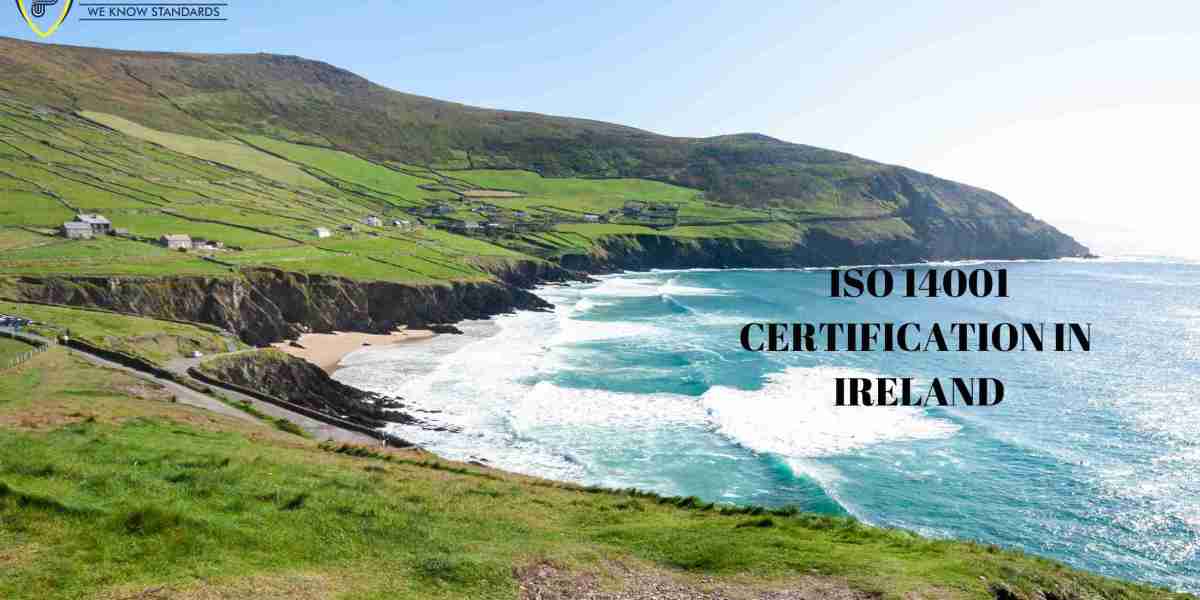 What are the key steps involved in achieving ISO 14001 certification in Ireland?