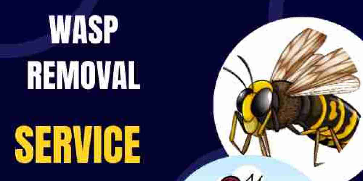 Safe and Effective: Wasp Removal in Cairnlea