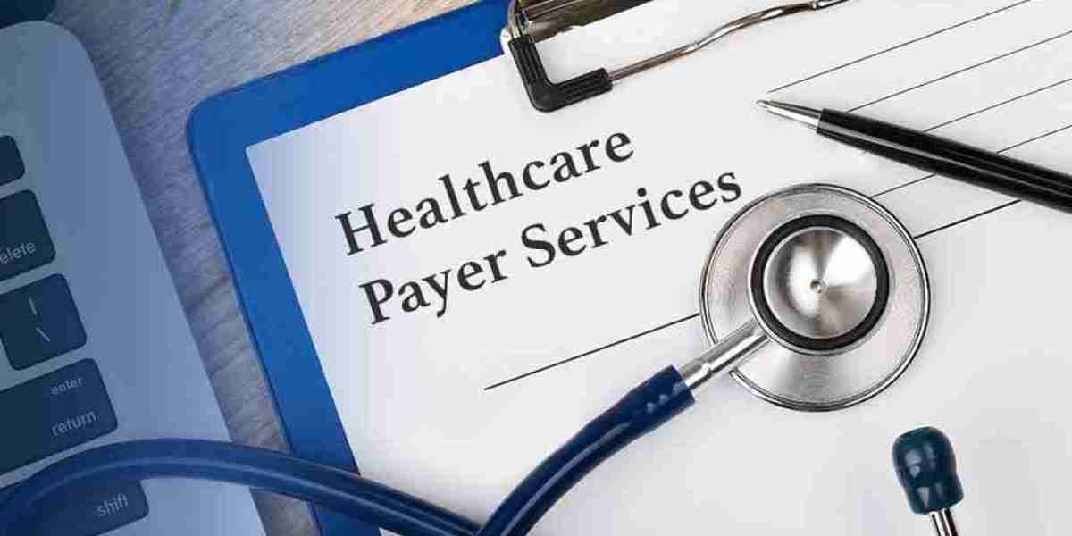 Healthcare Payer Services Market Industry Size, Trends, Growth, Insights and Forecast 2018 – 2028
