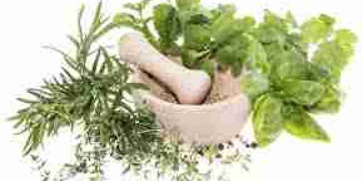 Herbal Extract Market Growth Drivers Challenges, Trends and Industry Dynamics, Forecast 2024 – 2032