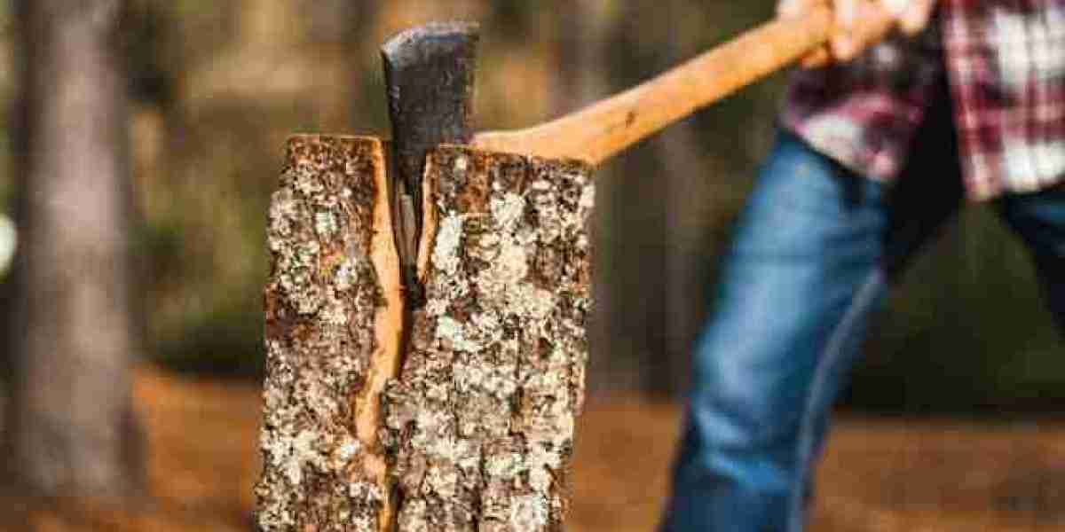 The Importance of Tree Maintenance Tips for Keeping Your Trees Healthy and Safe
