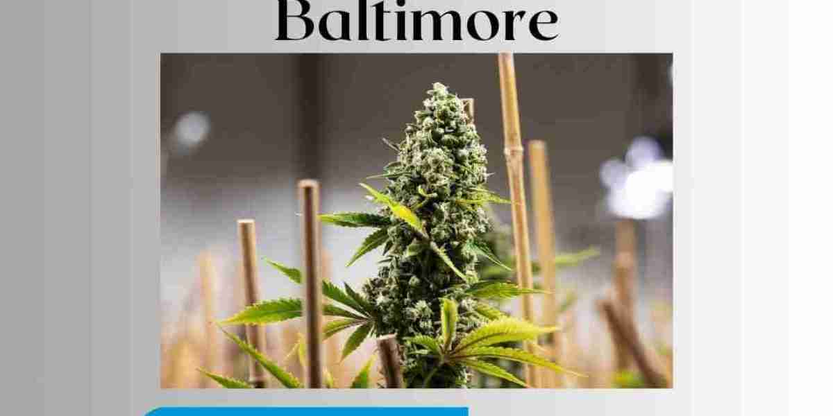 Exploring Marijuana Dispensaries in Baltimore: A Comprehensive Guide