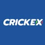 Crickex Org