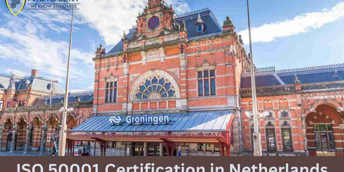 How do ISO 50001 certification costs in the Netherlands compare internationally?
