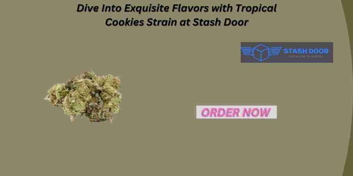 Dive Into Exquisite Flavors with Tropical Cookies Strain at Stash Door