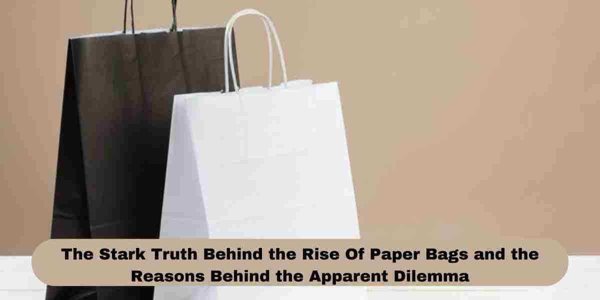The Stark Truth Behind the Rise Of Paper Bags and the Reasons Behind the Apparent Dilemma