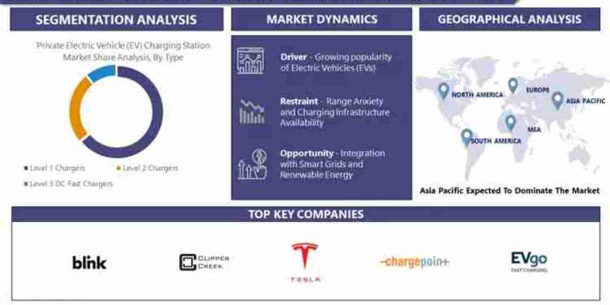 Private Electric Vehicle (EV) Charging Station Market: Growth, Key Futuristic Trends and Competitive Landscape Forecast 