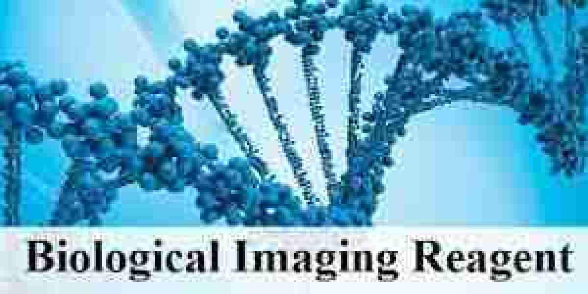 Biological Imaging Reagents Market Size, Growth & Industry Research Report, 2032