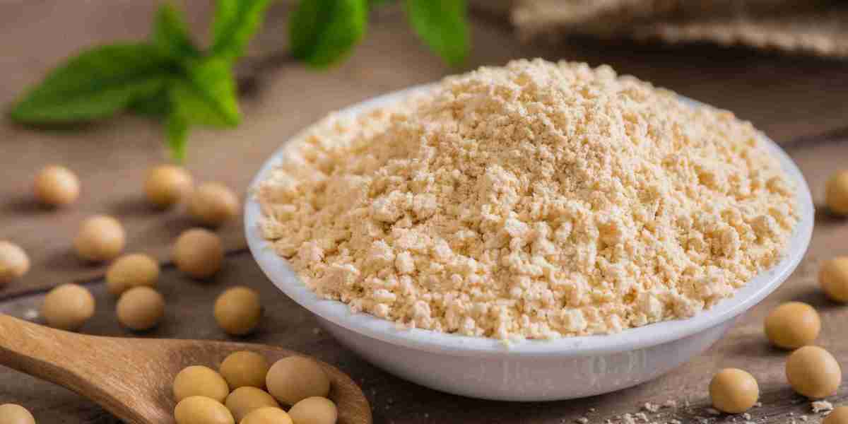 Soy Flour Market Analysis and Industry Growth Forecast by 2031