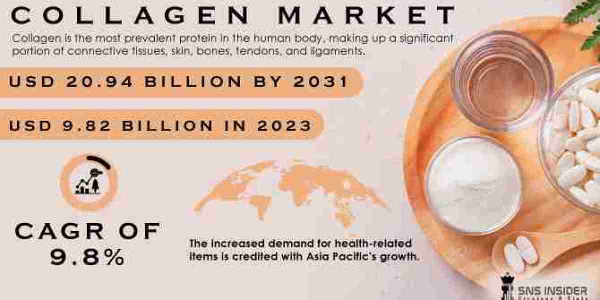 2031 Collagen Market Analysis: Size Distribution and Shape Dynamics