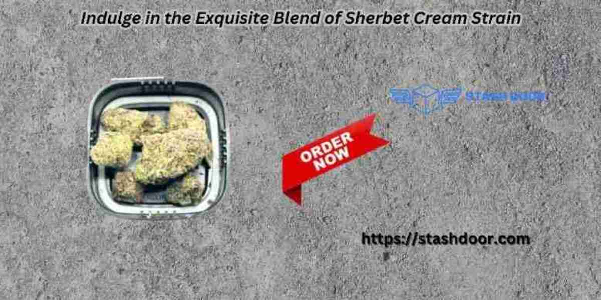 Indulge in the Exquisite Blend of Sherbet Cream Strain