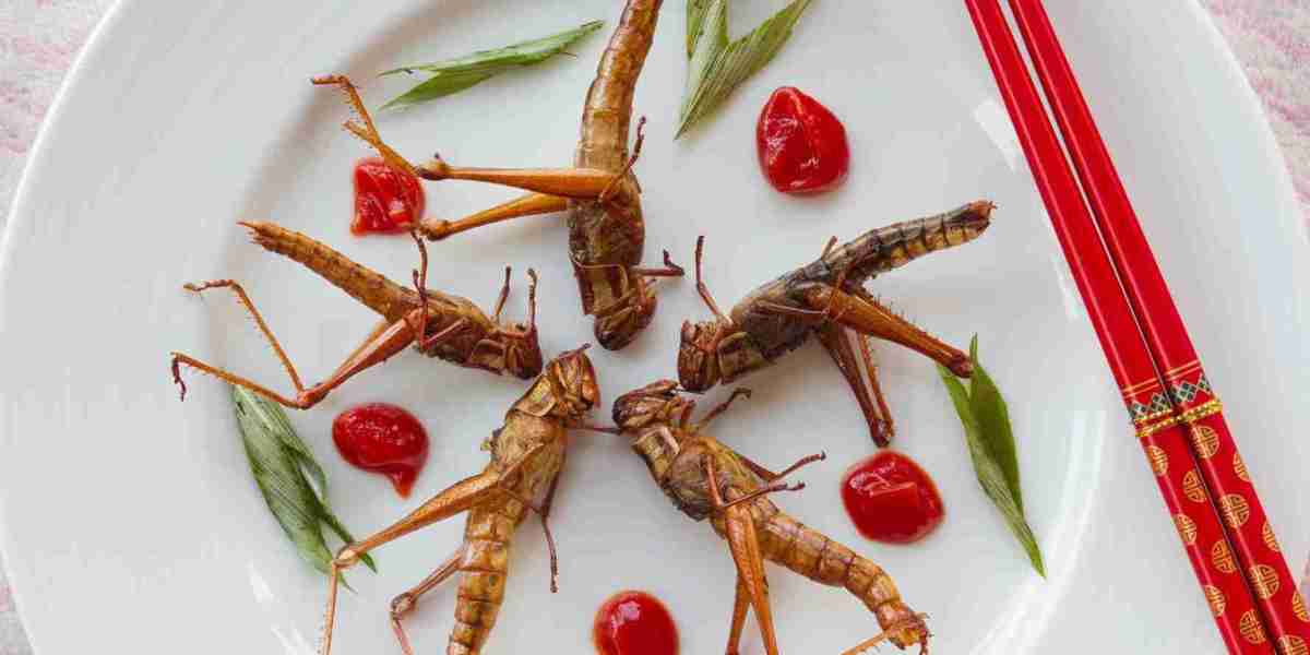 Edible Insects Market Trends, Business Revenue Forecast by 2031