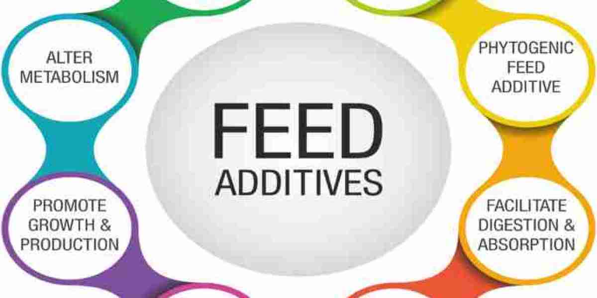 Feed Additives Market Will Hit Big Revenues In Future | Biggest Opportunity Of 2024