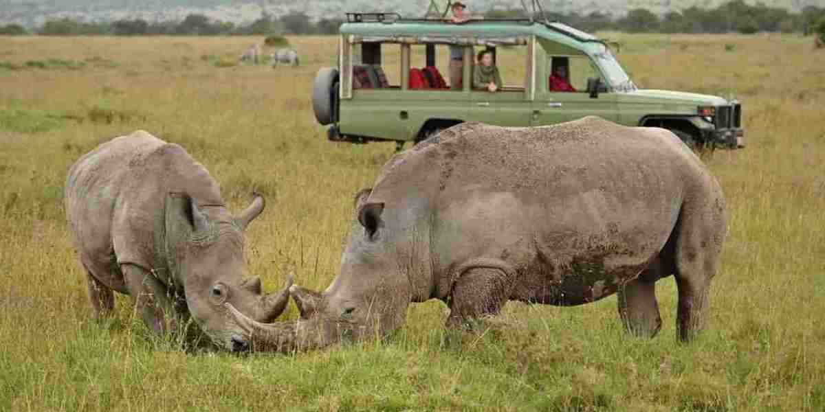 Safari Dreams Come True: Safarilines' Luxury Serengeti Escapes