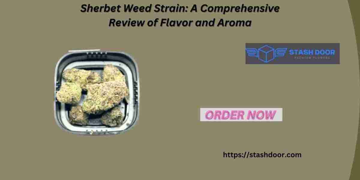 Sherbet Weed Strain: A Comprehensive Review of Flavor and Aroma